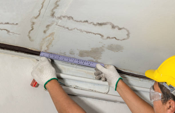 Reliable Water Damage Repair contractor in Amelia, LA by Hirex Water Damage